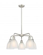 Innovation Lighting 516-5CR-SN-G381 - Castile - 5 Light - 24 inch - Satin Nickel - Chandelier