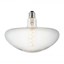 Innovation Lighting BB-250-LED - 5 Watt LED Vintage Light Bulb